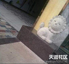 自古紅顔多红水采集到向往的地方