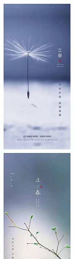 【素材能量站】节气 立春 春季 春天 蒲公英 嫩芽 枝叶|987639 