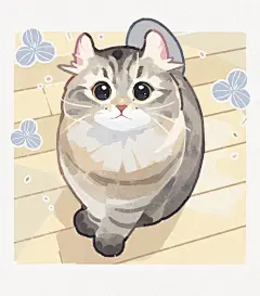 可爱捏！右滑！ - 小红书