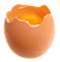 egg PNG