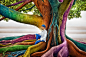 童话中的彩虹树 | poboo 创意视觉