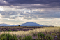 Spanish landscape in late afternoon Summer light by Juancarlos B on 500px