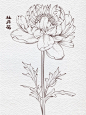 五月的插画 • 小红书 / RED