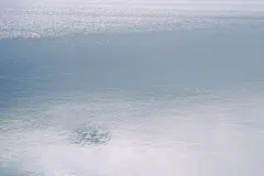 采集图片