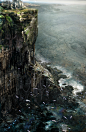 Monuments, Daniel Dociu