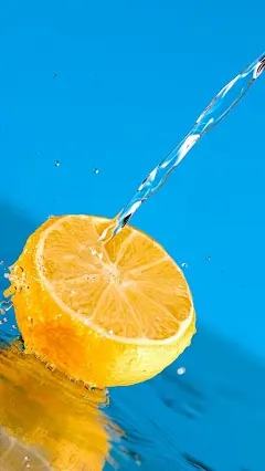 清新柳橙柠檬安卓手机壁纸