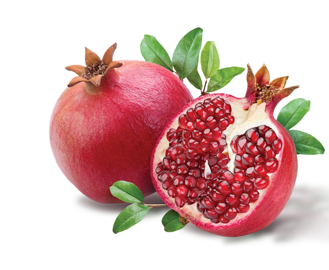 pomegranate红石榴