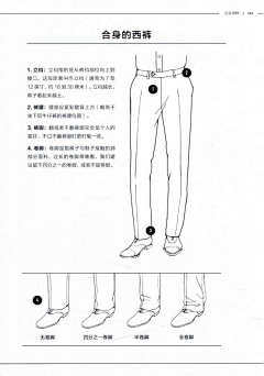 没有人是一座孤岛E采集到柴犬绅士