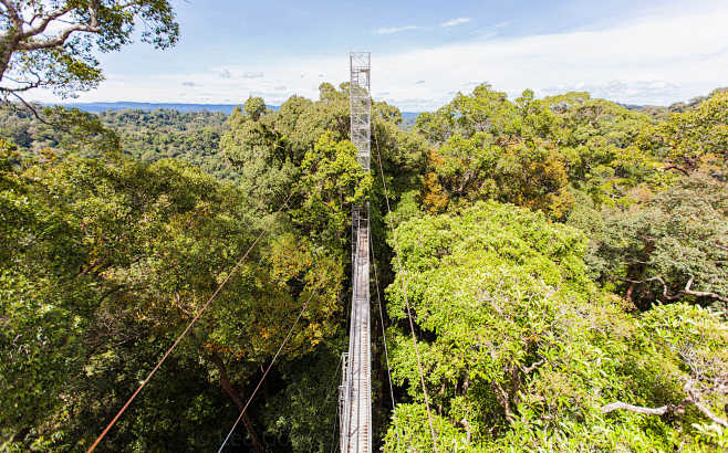 Ulu Temburong Narion...