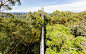 Ulu Temburong Narional Park