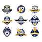 Football team or club flat labels set