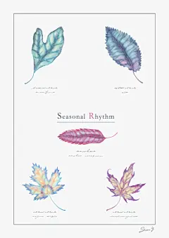 手绘 水彩 星空 彩虹荧光渐变 树叶 叶子枫叶落叶  插画 