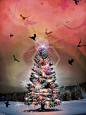 圣诞树象征着希望与明天。当世界末日降临时，圣诞树周围一定存在着一丝希望与光明。