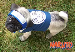 动漫真人秀 (57).jpg - - 妖精、靈的个人空间 - 有妖气