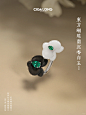 龙梓嘉的高级珠宝真的好看吗？？？？？ - 小红书