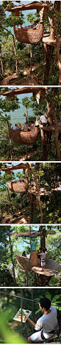 在泰国Soneva Kiri度假村，有一个鸟巢餐厅，游客先从地面进入树屋，然后缓缓上升，体验一把暮光之城中俯视山川群峦的别样感受。
