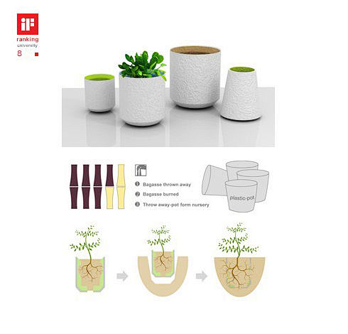 Bagasse Flowerpot
设计...