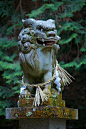 Komainu (狛犬) at the Tenjin shrine (天神神社) In Kizugawa County._日本-建筑-神社 _实采下来 #率叶插件，让花瓣网更好用#