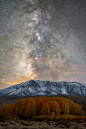 Brandon Yoshizawa, Japan, Entry, Open competition
