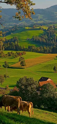 风景壁纸 - 高清图片，堆糖，美图壁纸兴趣社区