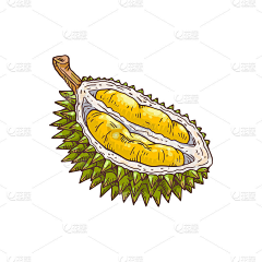 阿甲返程采集到榴莲