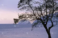 湖,琵琶湖,冬天,自然,天空,半岛,滋贺县,水平画幅,雪,无人