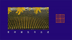 Lukchienyuen采集到vi/提案