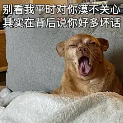 有淡淡疯感的小狗表情包‼️ - 小红书
