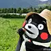 以文载质