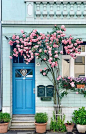 The best free jigsaw puzzles online! ❤️  #puzzle #jigsaw #jigsawpuzzles #game #puzzleonline #games #flora #garden #tree #nature #spring #pink