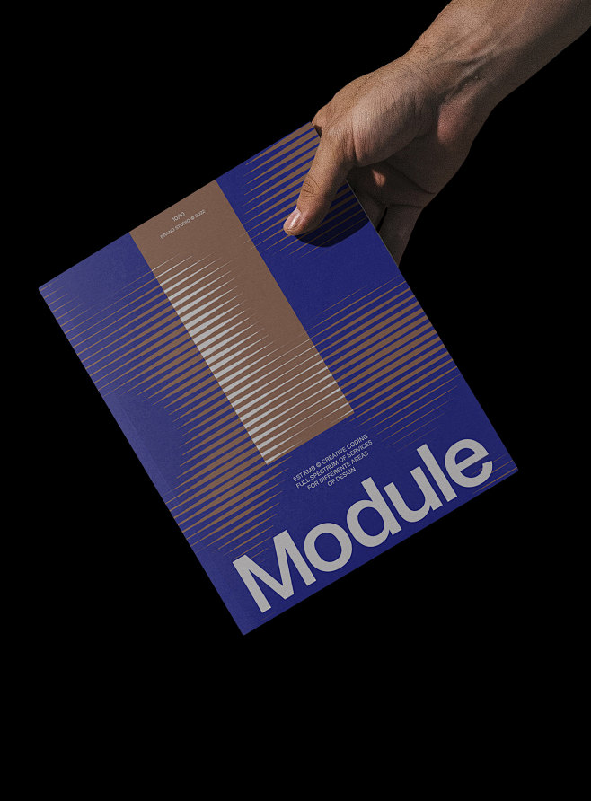 The Module : The Mod...