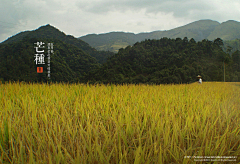 Cerleo采集到二十四节气