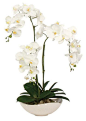 White Orchid Faux Flower Arrangement: 