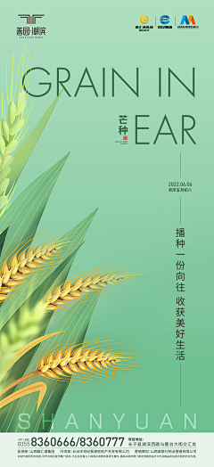 皮卡丘CN采集到MINE