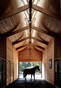 Elongated skylight illuminates Chilean stables by Matias Zegers Architects : A skylight that runs along the ridge of this stables near the Chilean capital of Santiago allows daylight to flood onto laminated-timber trusses that support its curved ceiling.