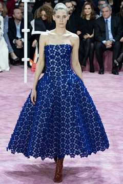 桔子梅采集到Christian Dior 2015春夏高定