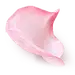 花瓣