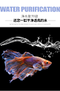 鱼缸过滤材料设备32生化球生物球滤材活性炭过滤棉生化棉养鱼用品-tmall.com天猫