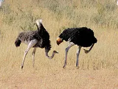 第2页 | 必应每日高清壁纸 - 精彩，从这里开始