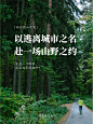原创旅行爬山文案丨逃离城市，赴山野之约。
