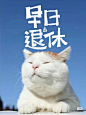 59c4fe5ab7d7e3a9cd53945e46eaf08