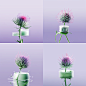 liangxm_None_a910d61a-2136-4db7-80c9-fc44aa7f71ad