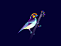 Flamed faced tanger wildlife blue colour midnightgarden animals contrast lights gradients flamed faced tanger birds bird