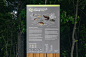Wayfinding for Schelokovsky/ Лесопарк Щёлоковский хутор : Айдентика, информационные стенды и навигация для лесопарка Щёлоковский хутор в Нижнем Новгороде. Visual Identity, Information Stands and Wayfinding System for Schelokovsky Forest Park in Nizhny Nov