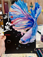 超写实彩铅作品 暑假课｜《斗鱼之美》 - 小红书