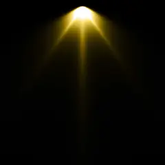 spotlight 113