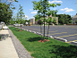 Waltham Watch Factory. Infiltration trenches lining the parking lot play an important role in the site’s overall stormwater management system.  Richard Burck Associates