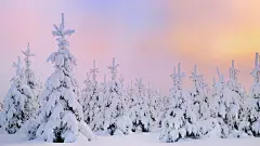冬季高清雪景壁纸桌面43143_冬雪系列_风景风光类_图库壁纸_联盟素材