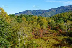 日本长野秋日志贺高地