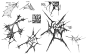 ds_web7